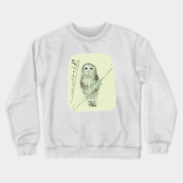 Owl drawing Crewneck Sweatshirt by dddesign